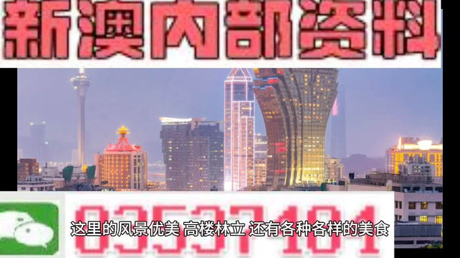澳门精准资料，期期的精确洞察与未来展望