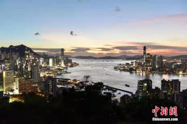 香港免费公开资料