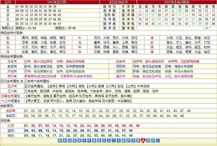 探索二肖3码的奥秘，数字背后的智慧与策略