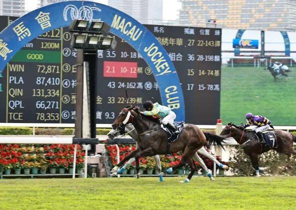 探索香港全年资料马会大全，赛马的激情与文化的交融