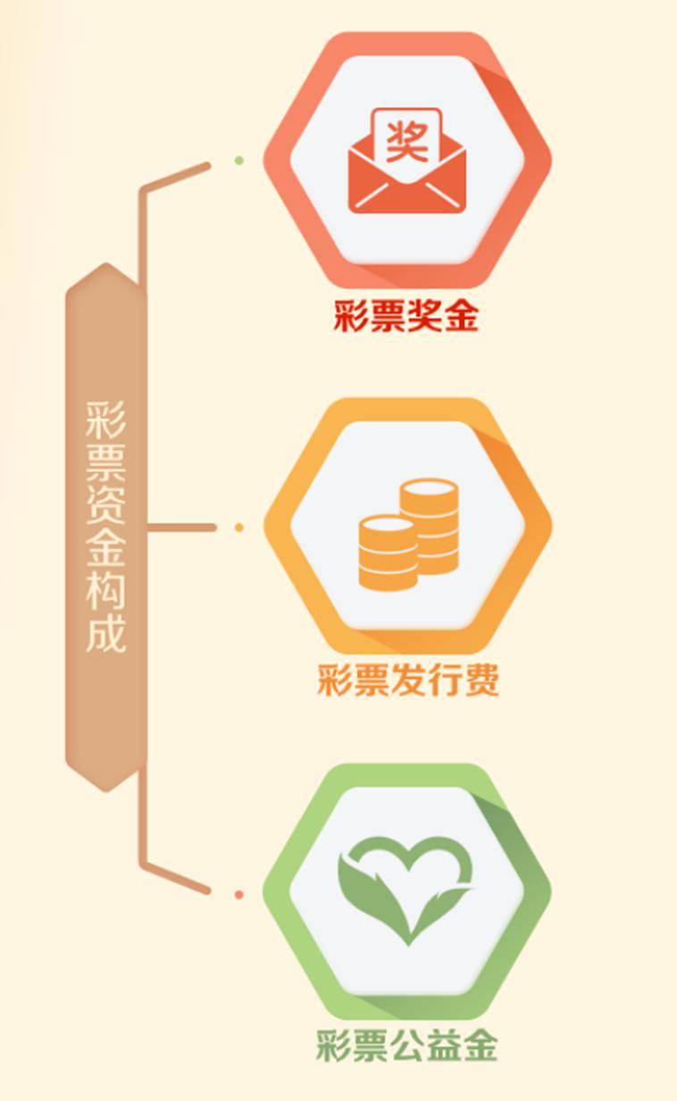 探寻中国福利彩票开奖号的奥秘与影响