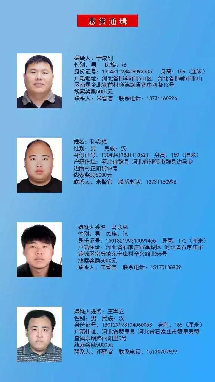 河北快3，数字游戏中的幸运与期待