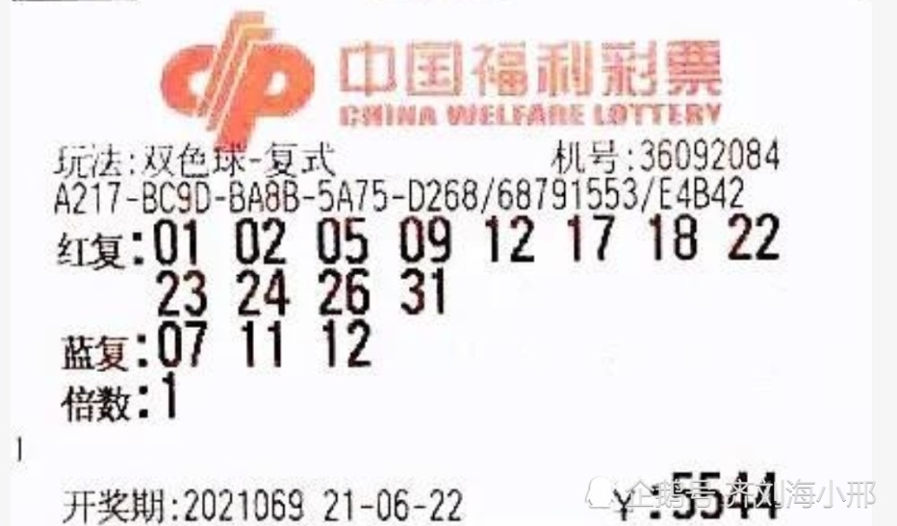 207，双色球开奖结果揭晓，梦想与幸运的碰撞