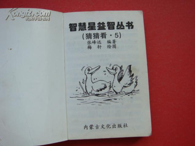 3D字谜，太湖钓叟的智慧与乐趣