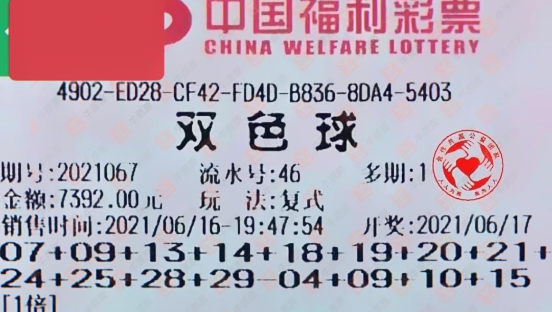2025年6月2日 第4页