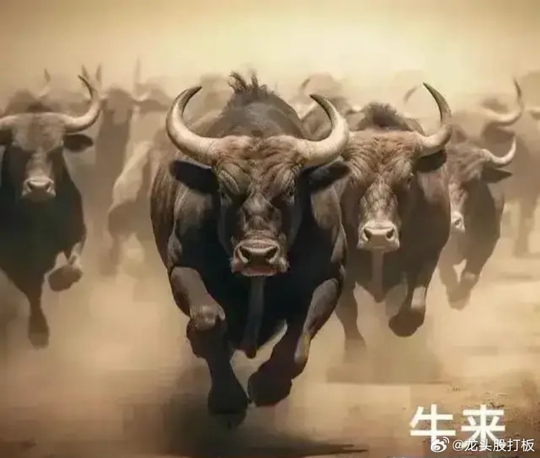 河北十一选五，揭秘一定牛的背后逻辑与策略