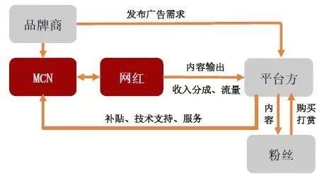 广东十一选五，揭秘一定牛的背后逻辑与理性分析