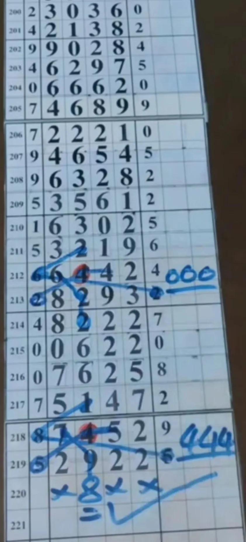 探索体彩排列五综合版，数字的魅力与智慧