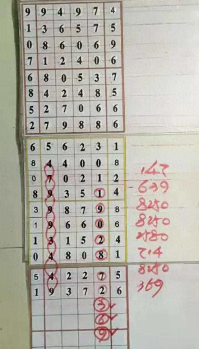 排列五，揭秘开奖号码背后的数字魔法