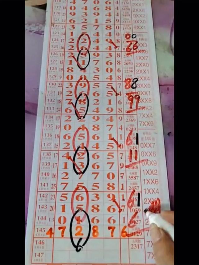 排列五开奖号码的最新动态与趋势分析